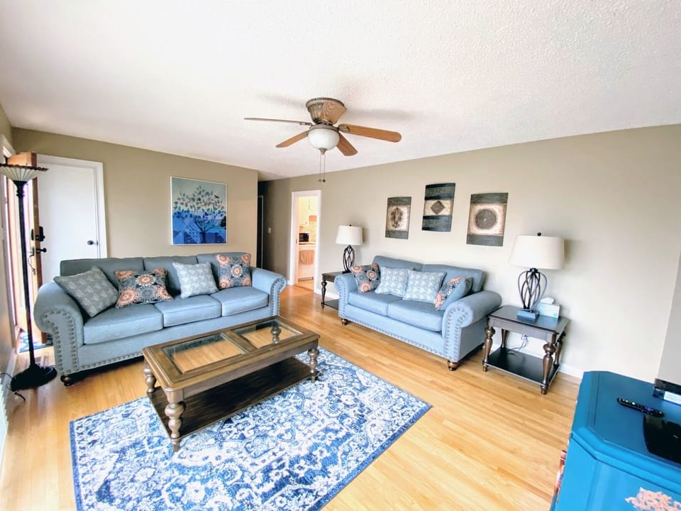 Living room with 65" ROKU TV