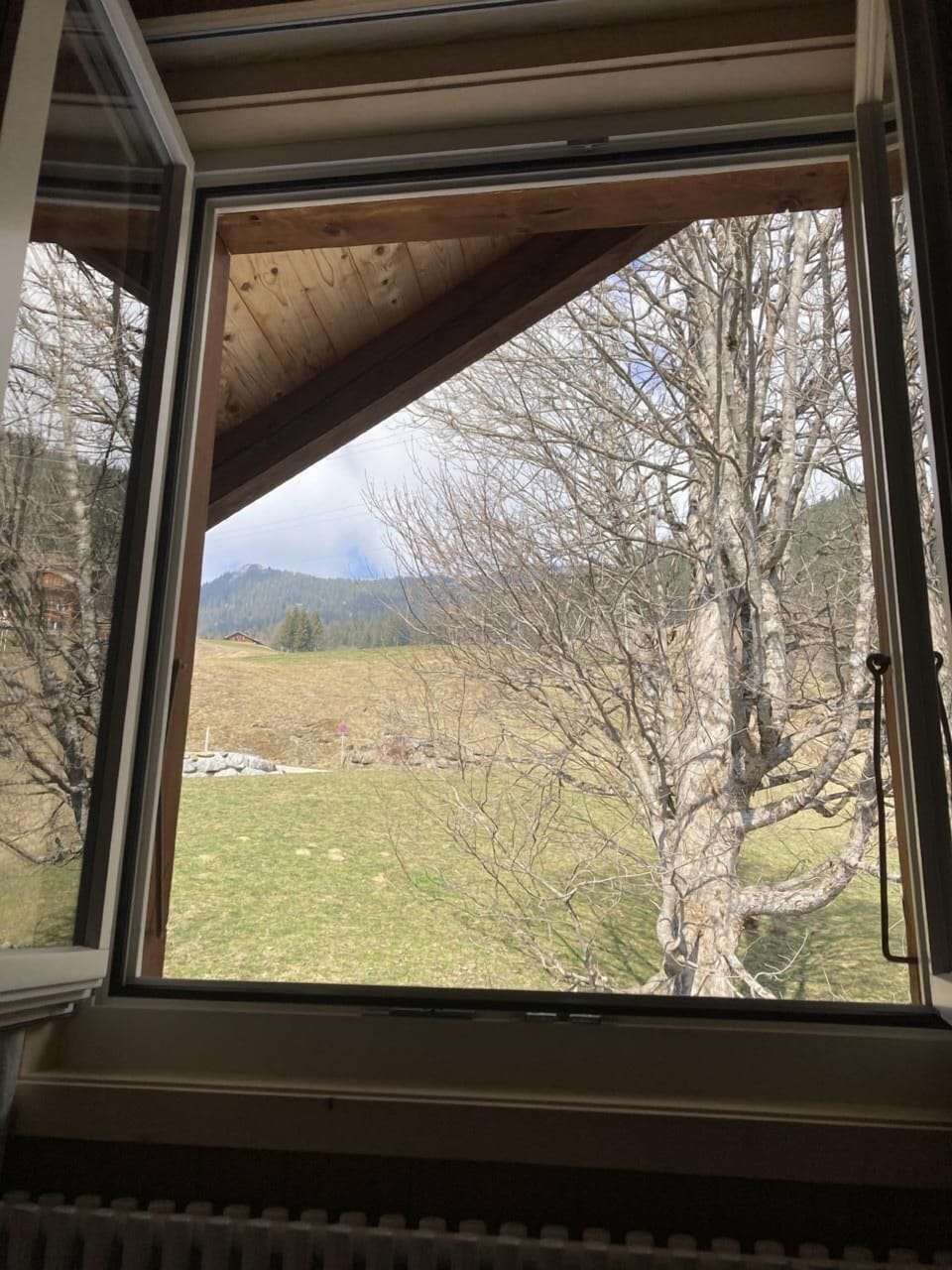 View from Bedroom 3