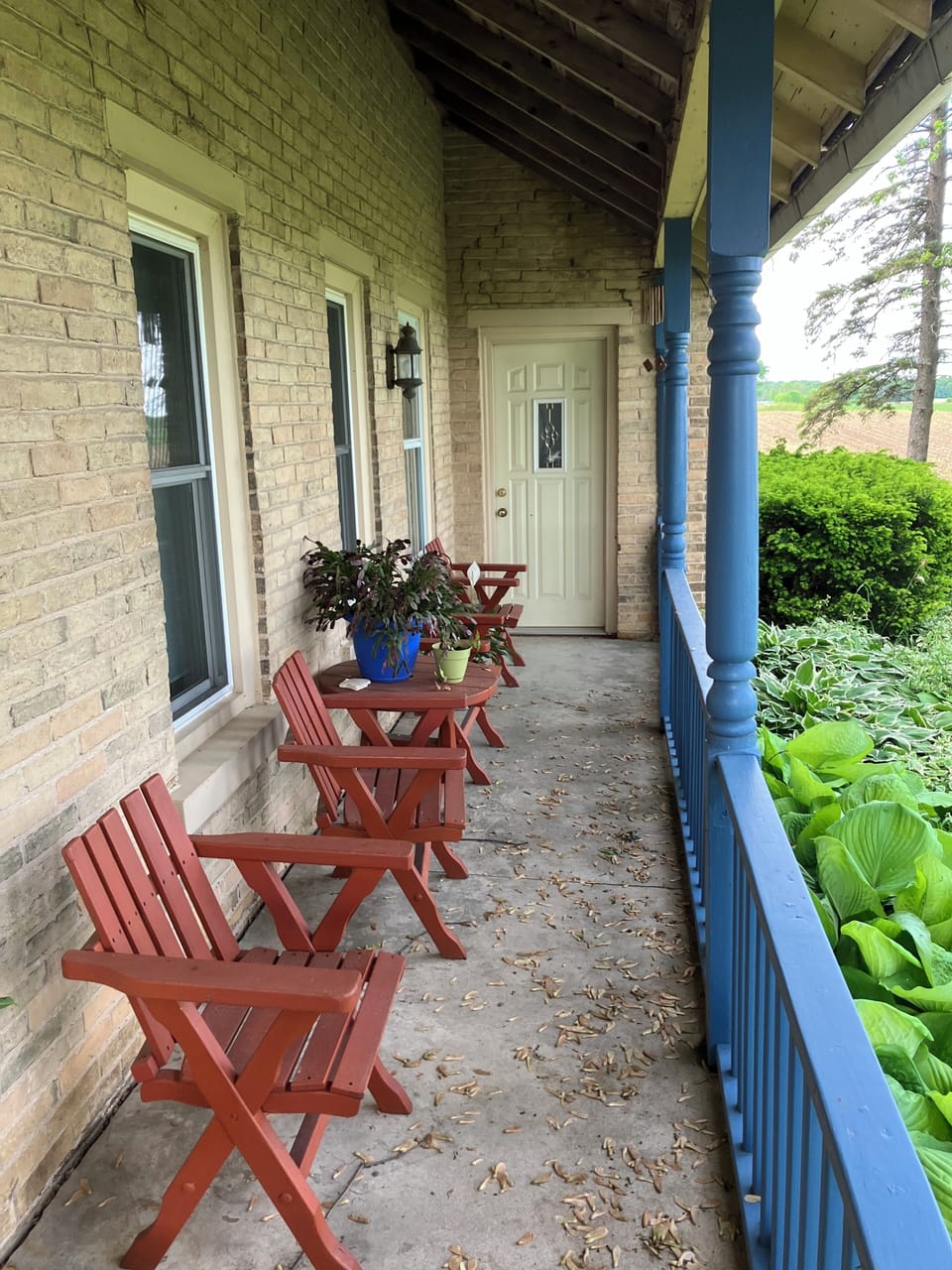 Terrace/patio