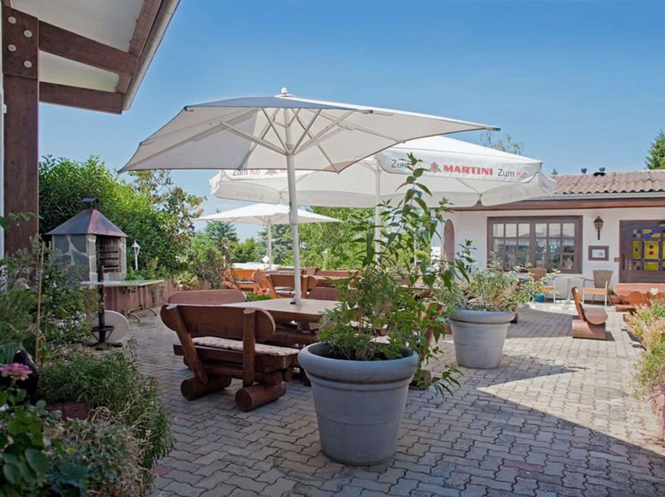 Plant, Sky, Property, Flowerpot, Houseplant, Shade, Flower, Umbrella, Building, Outdoor Furniture