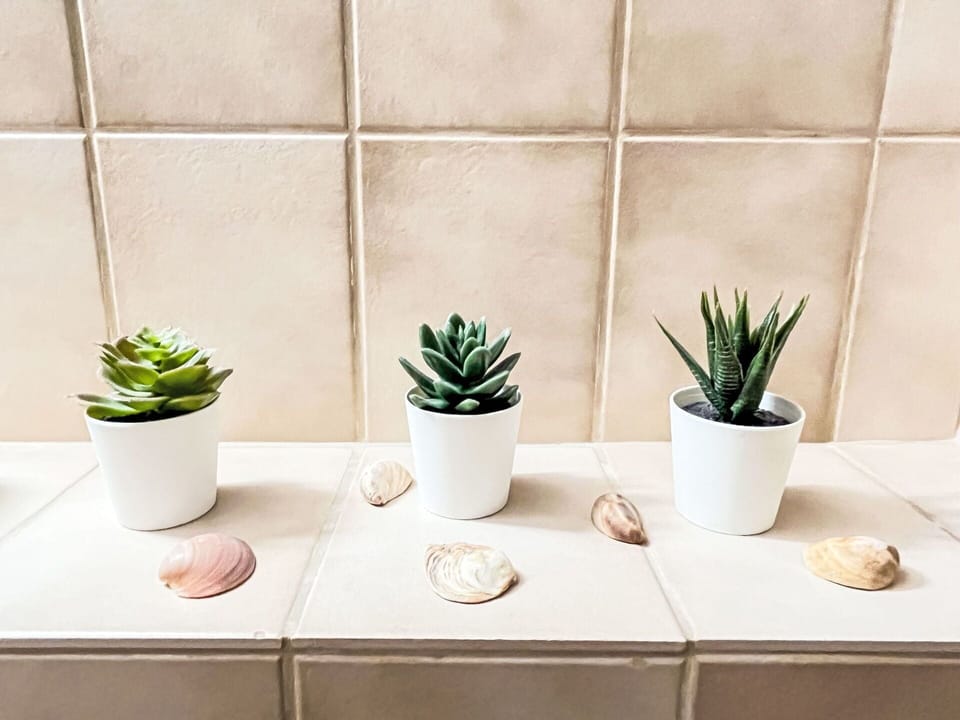 Plant, Property, Flowerpot, Houseplant, Vase, Azure, Rectangle, Wood, Interior Design, Table