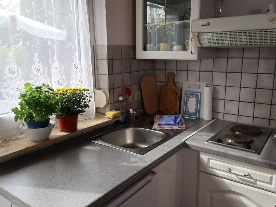Plant, Kitchen Sink, Sink, Property, Tap, Cabinetry, Countertop, Window, Kitchen, Plumbing Fixture