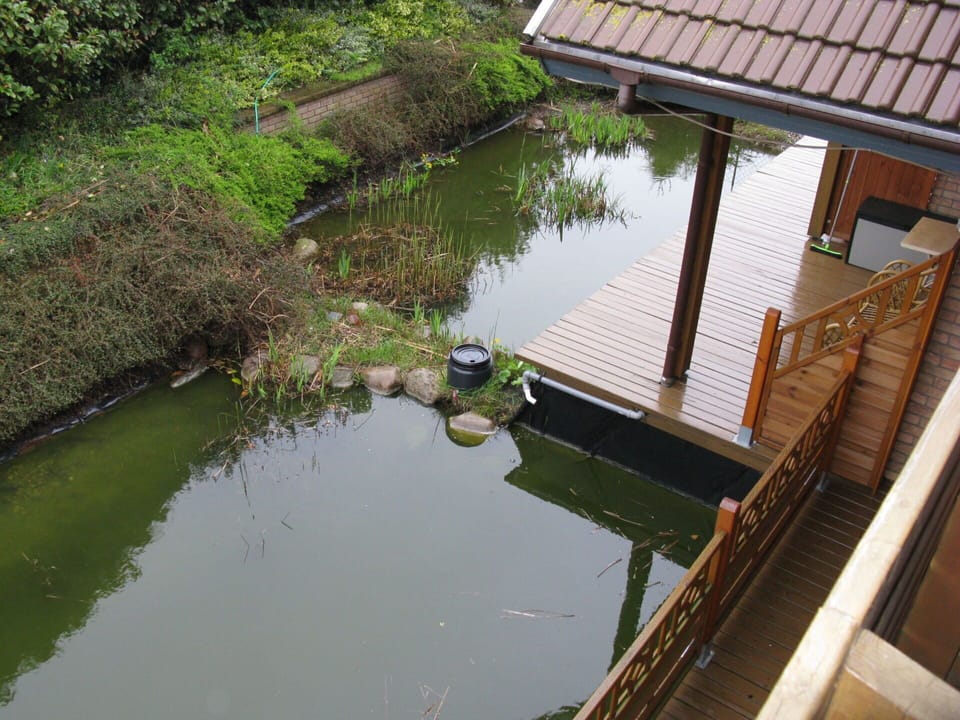 Water, Water Resources, Plant, Nature, Botany, Lake, Vegetation, Natural Landscape, Wood, Waterway