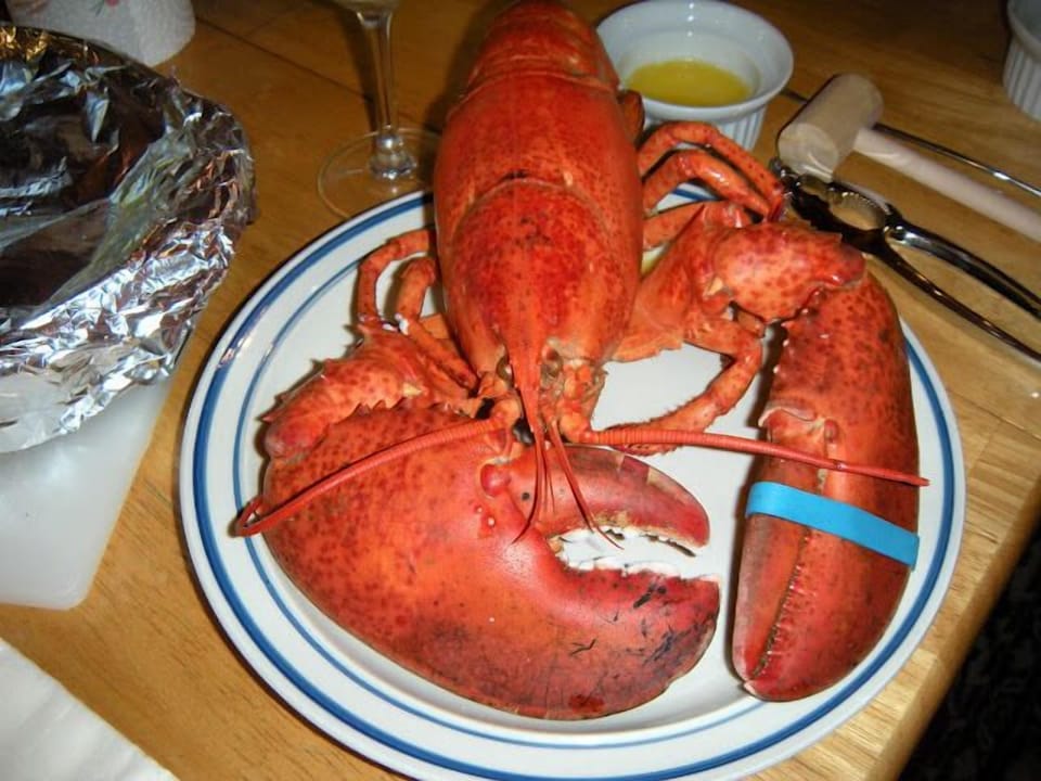 The fruit of the sea. Lobster from  Edgartown Seafood