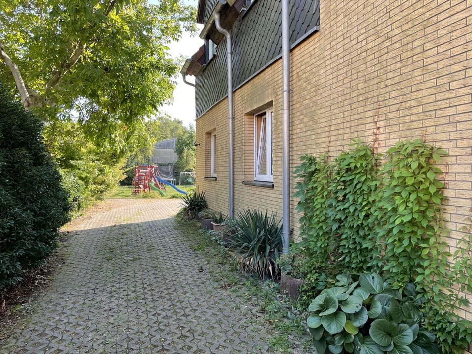 Plant, Building, Road Surface, Window, Flooring, Neighbourhood, House, Residential Area, Real Estate, Asphalt