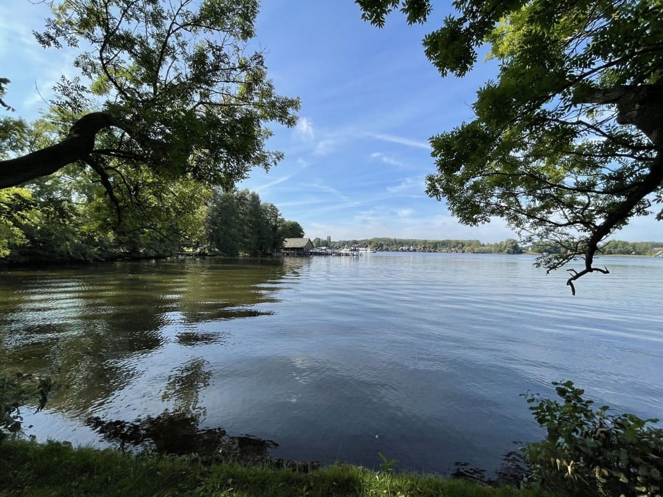 Water, Sky, Plant, Cloud, Water Resources, Natural Landscape, Tree, Coastal And Oceanic Landforms, Lake
