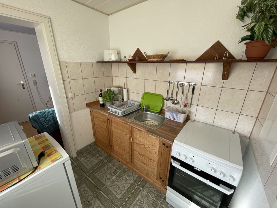 Cabinetry, Property, Plant, Countertop, Building, Houseplant, Kitchen Stove, Kitchen, Interior Design, Home Appliance