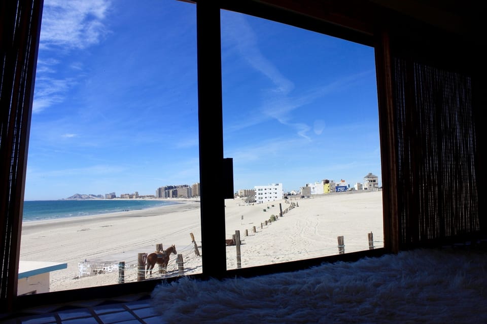 view