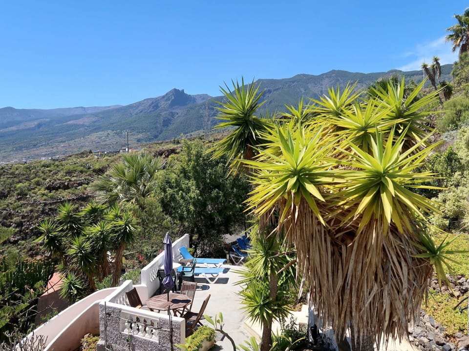 Vegetation, Property, Tree, Wilderness, Botany, Plant, Mountain, Landscape, Real Estate, Tourism