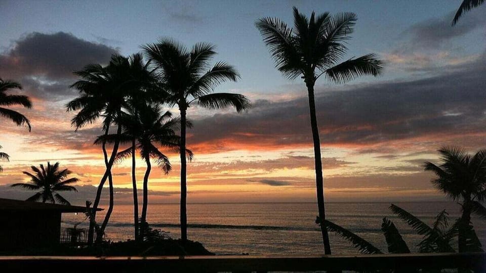 Scenic sunset view with silhouetted palms over the ocean.