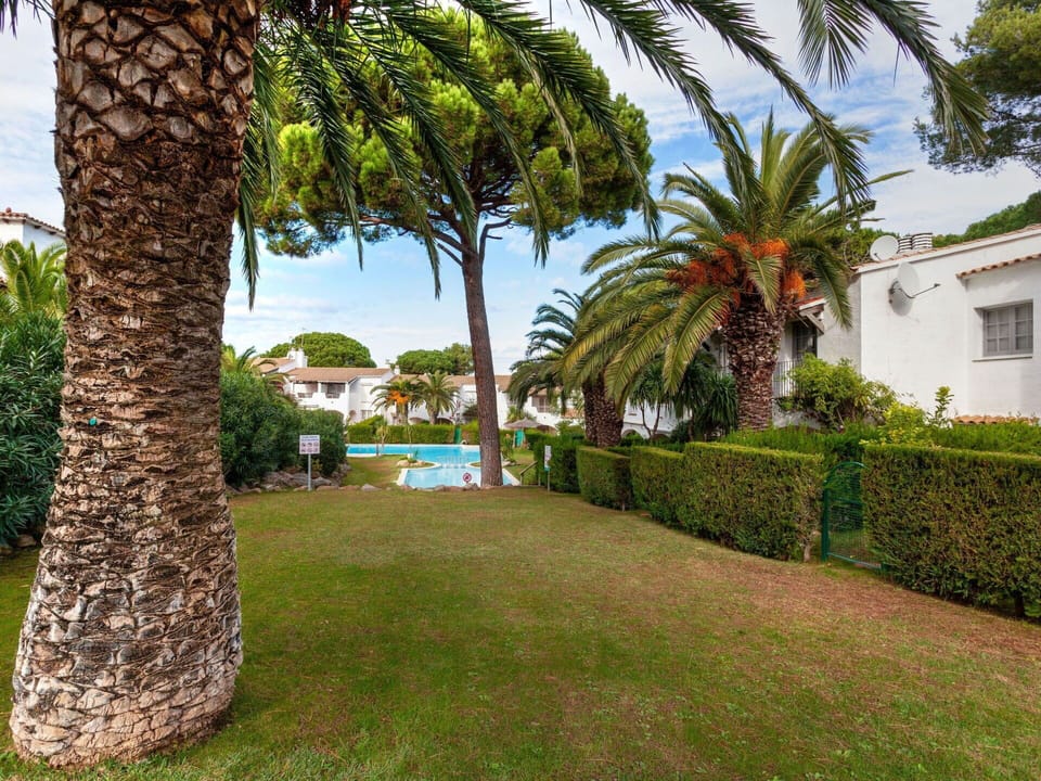 Shrub, Garden, Lawn, Resort, Shade, Landscaping, Hacienda, Tropics, Yard
