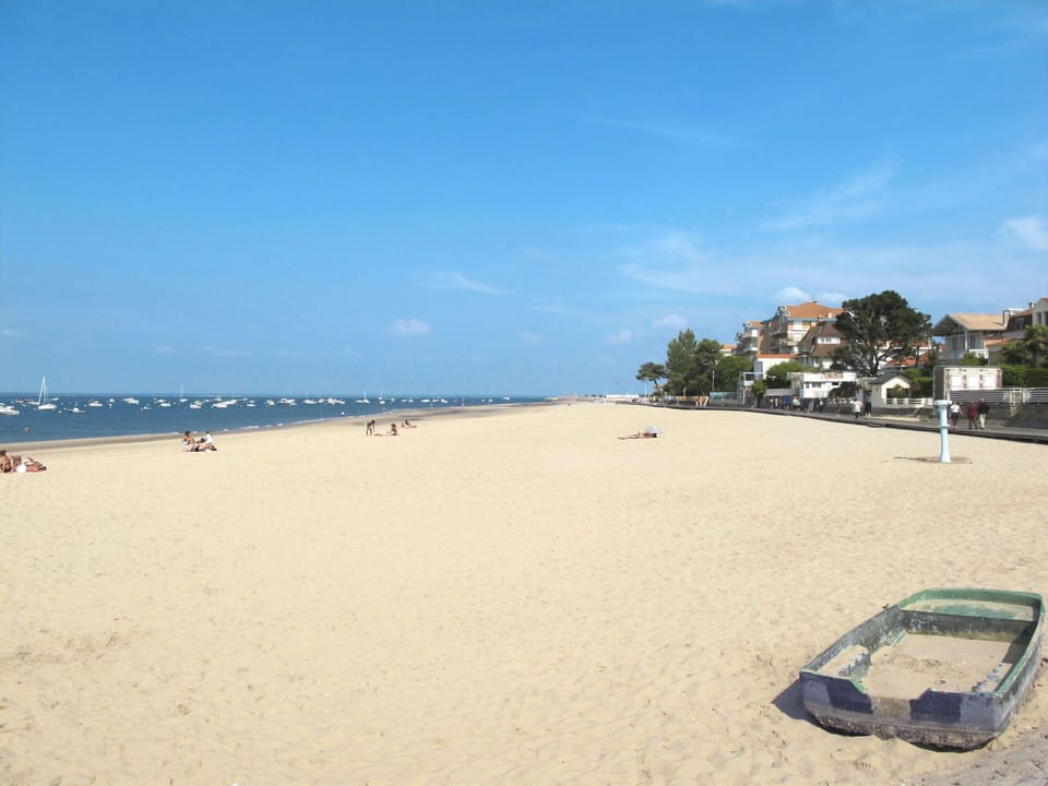 Sky, Cloud, Water, Beach, Coastal And Oceanic Landforms, Tree, Horizon, Leisure