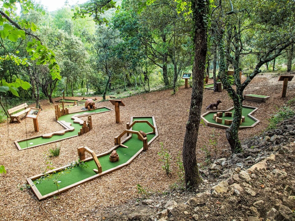 Garden, Park, Landscaping, Botanical Garden