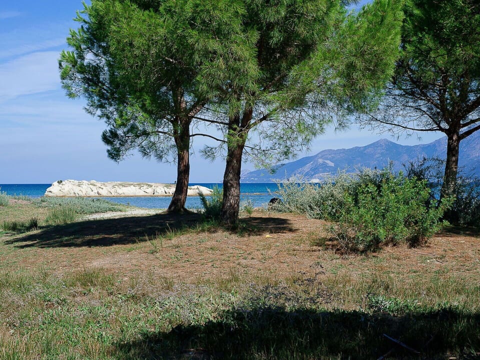 Plant, Sky, Water, Natural Landscape, Tree, Branch, Land Lot, Cloud, Shade, Grass