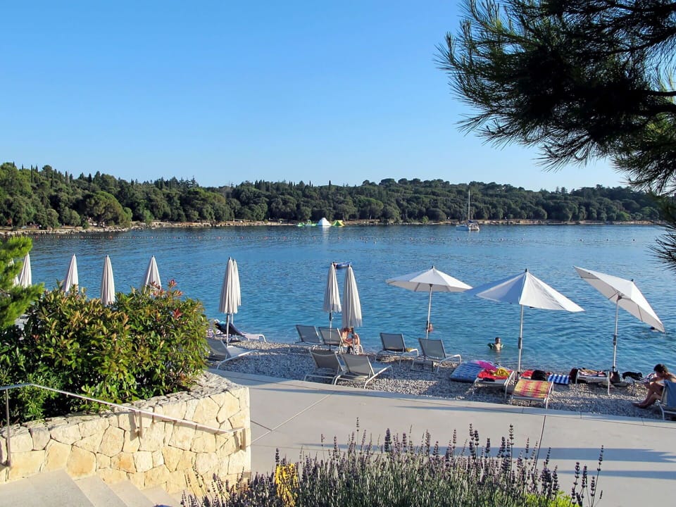 Water, Sky, Plant, Water Resources, Watercraft, Boats And Boating--Equipment And Supplies, Boat, Lake, Tree, Coastal And Oceanic Landforms