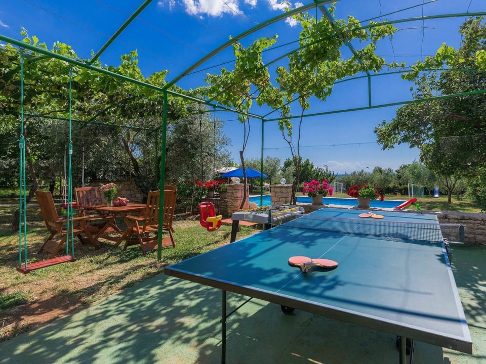 Sky, Cloud, Table, Plant, Shade, Outdoor Furniture, Leisure, Swimming Pool, Sports Equipment, Grass