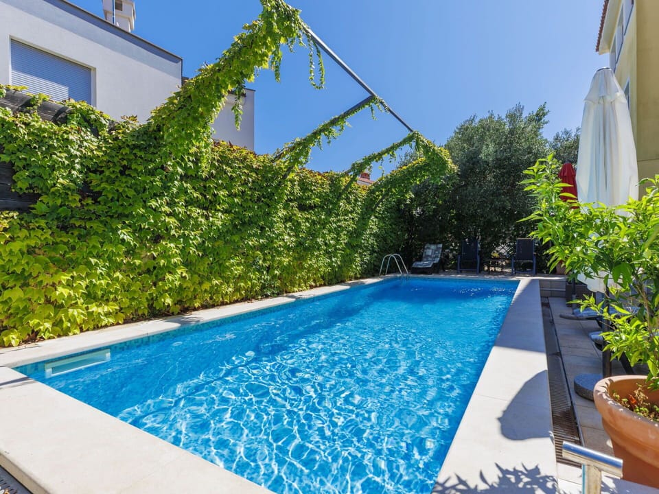 Plant, Water, Sky, Daytime, Property, Flowerpot, Green, Azure, Window, Blue
