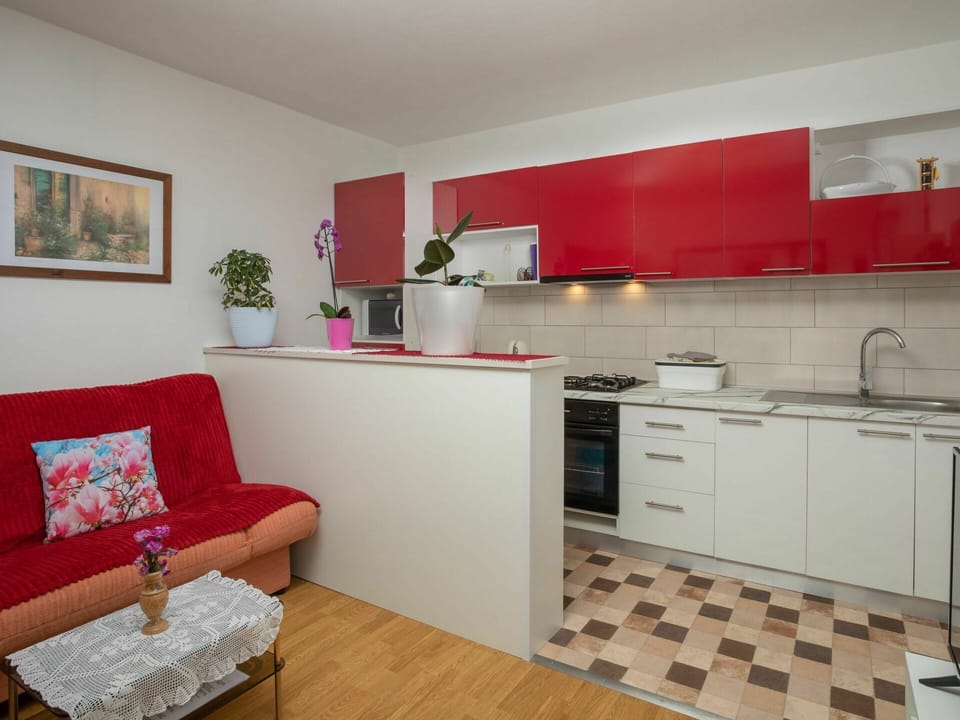 Cabinetry, Furniture, Building, Countertop, Kitchen Sink, Sink, Picture Frame, Plant, Wood, Kitchen Stove