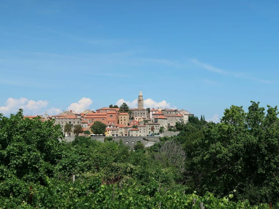 Vegetation, Sky, Town, Human Settlement, Village, Hill Station, Tree, Hill, Plant Community, Rural Area