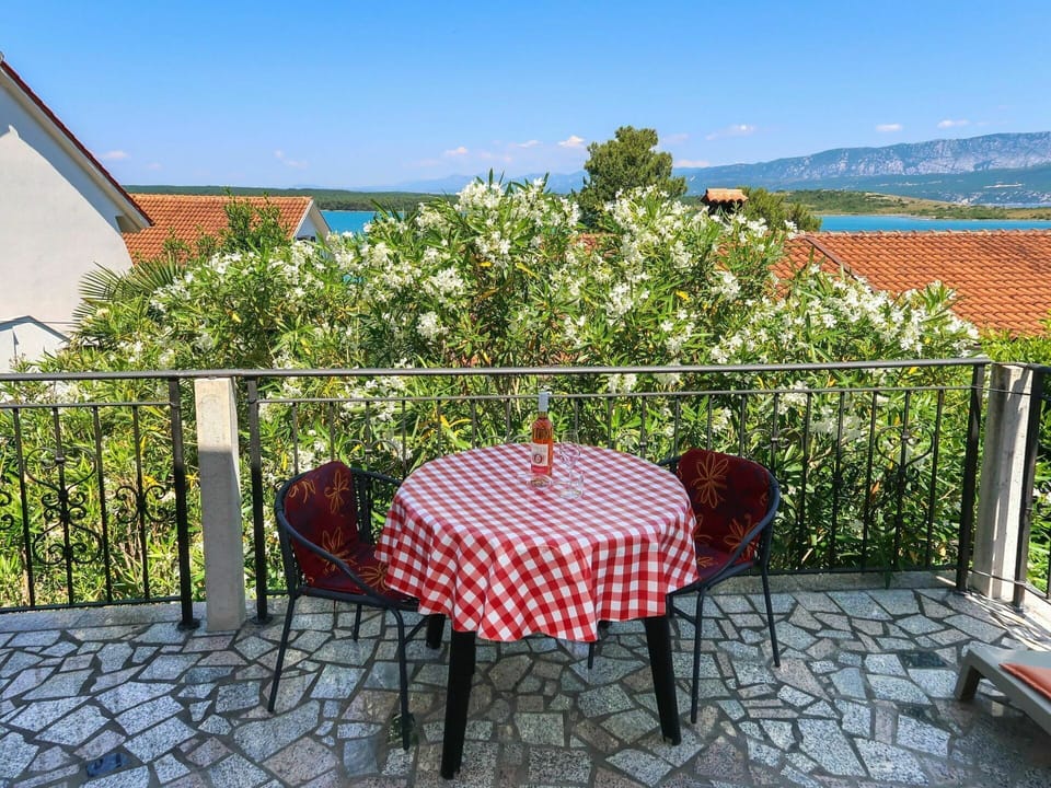 Plant, Sky, Furniture, Property, Flower, Table, Outdoor Furniture, Chair, Botany, Outdoor Table