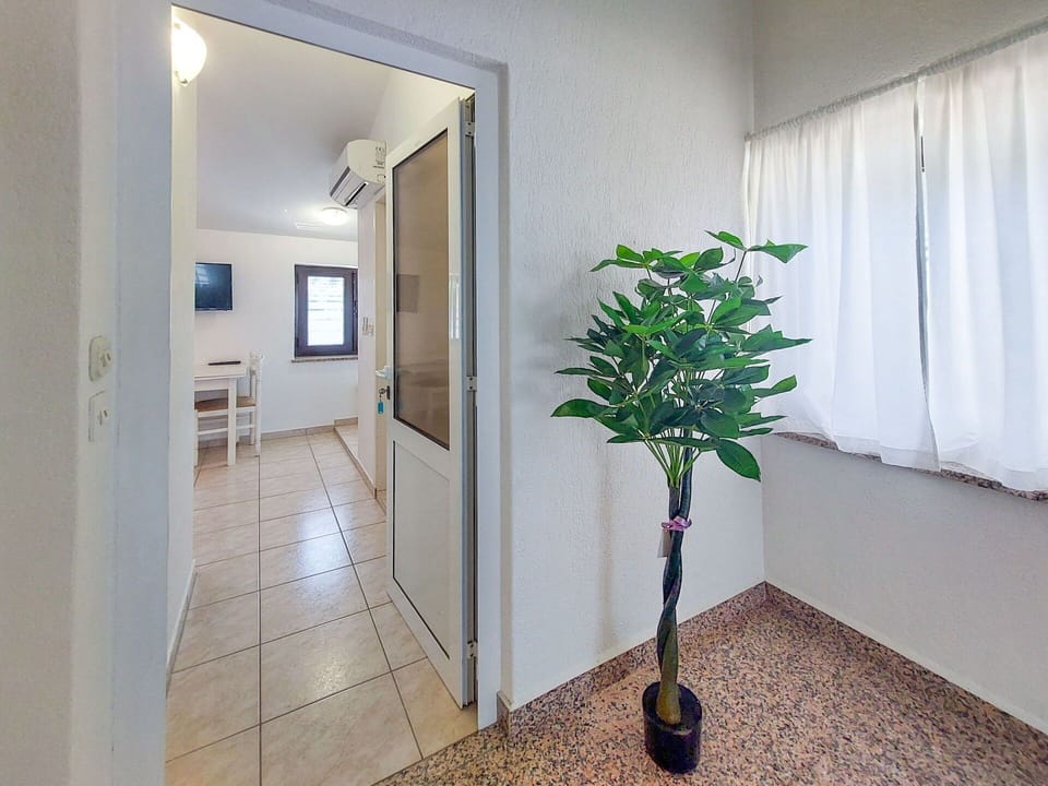 Flooring, Wall, Floor, Interior Design, Ceiling, Lighting, Door, Room, Apartment, Light Fixture