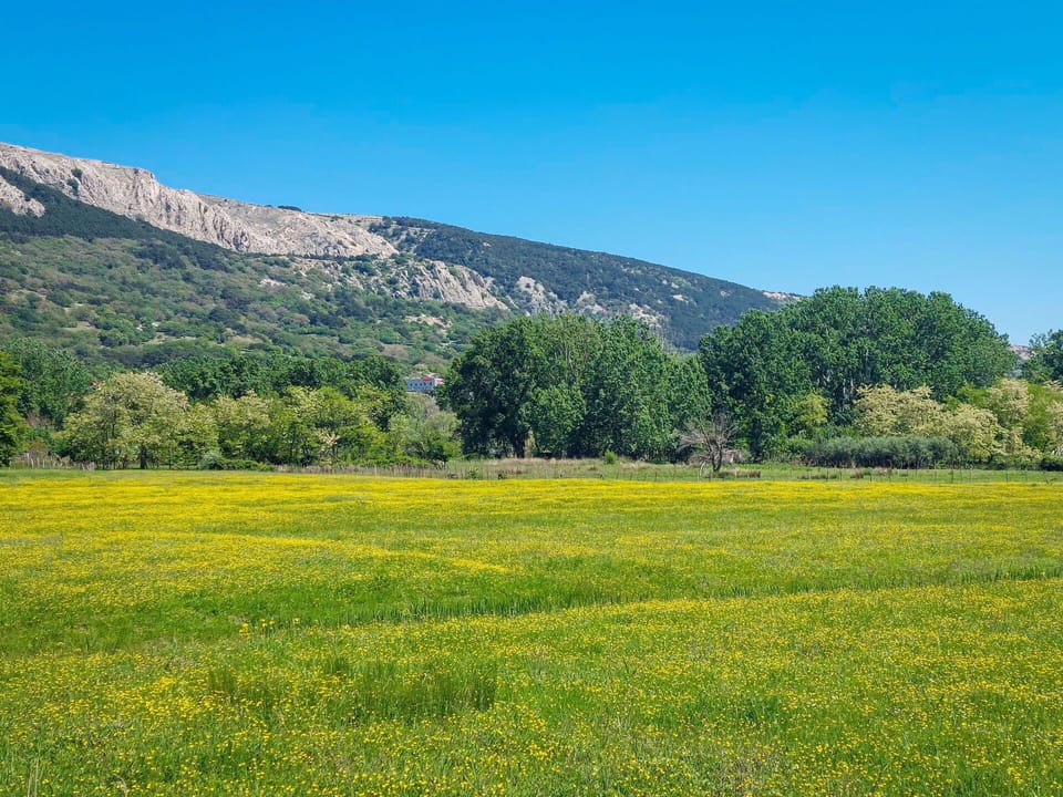 Green, Mountainous Landforms, Grass, Natural Environment, Grassland, Hill, Natural Landscape, Mountain, Vegetation, Plain