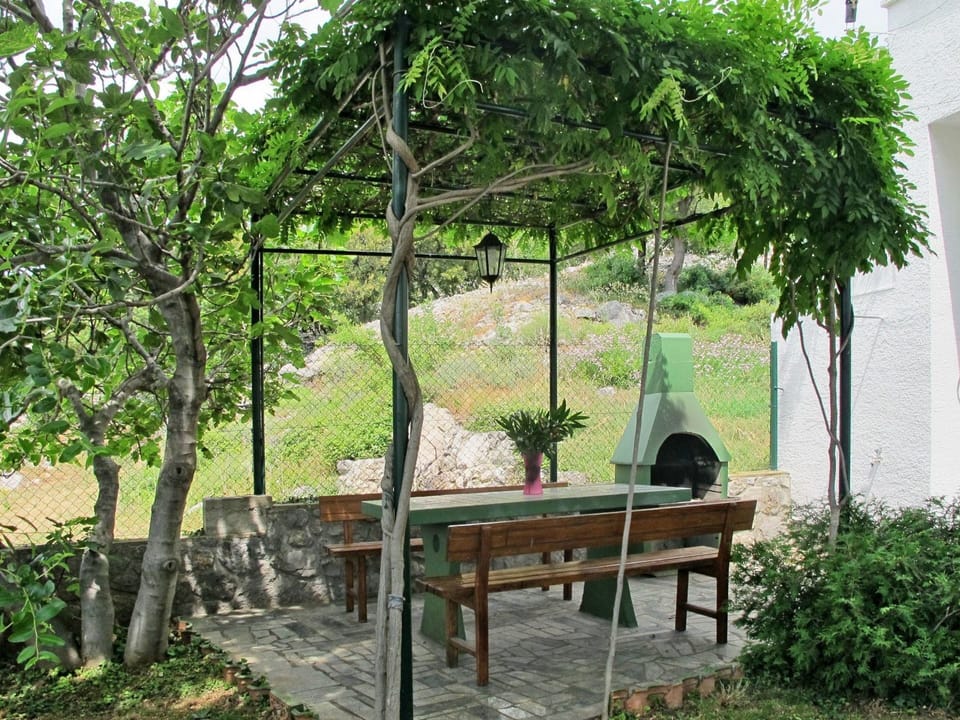 Tree, Bench, Botany, Furniture, Table, Garden, Plant, Yard, Woody Plant, Spring