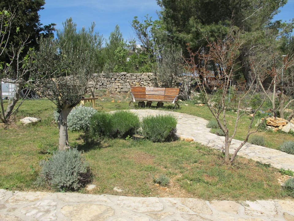 Plant, Furniture, Property, Window, Chair, Building, Wood, Lighting, Flowerpot, Architecture