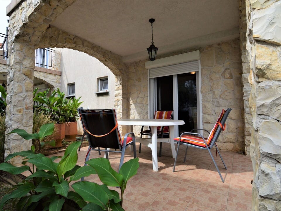 Plant, Furniture, Building, Window, Table, Chair, Flowerpot, Houseplant, Shade