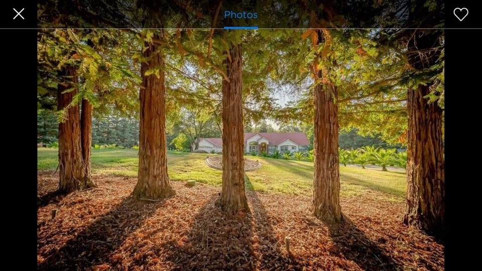 Chateau Loomis ~~ European Getaway in Northern CA !! House in Sierra Nevada