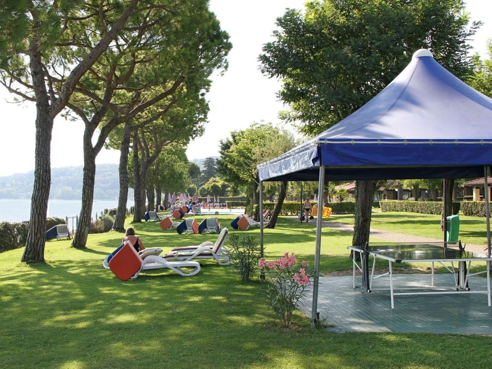 Plant, Sky, Tree, Tent, Shade, Outdoor Furniture, Grass, Leisure, Recreation, Chair