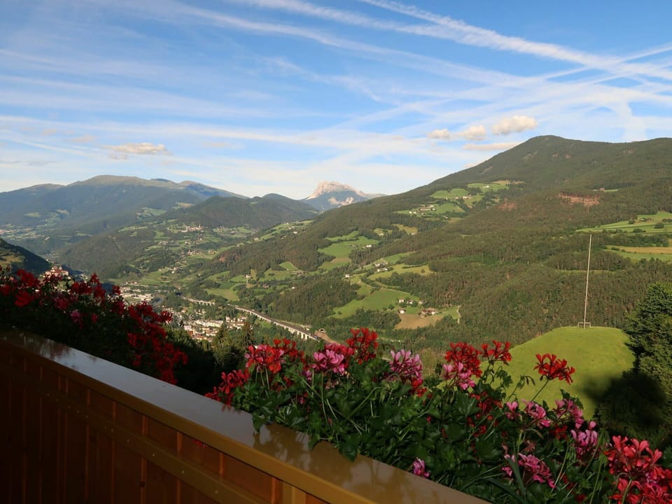 Flower, Cloud, Sky, Plant, Mountain, Property, Slope, Natural Landscape, Tree, Landscape
