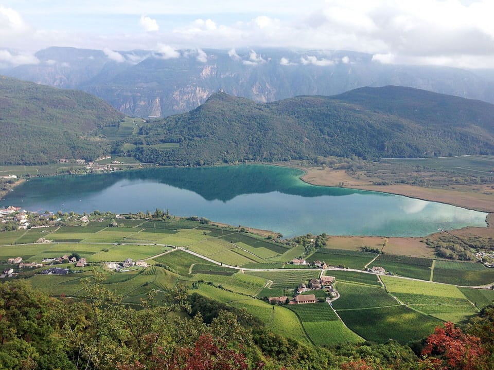 Wood, Lighting, Interior Design, Flooring, Floor, Living Room, Real Estate, Hardwood, Table, Beam