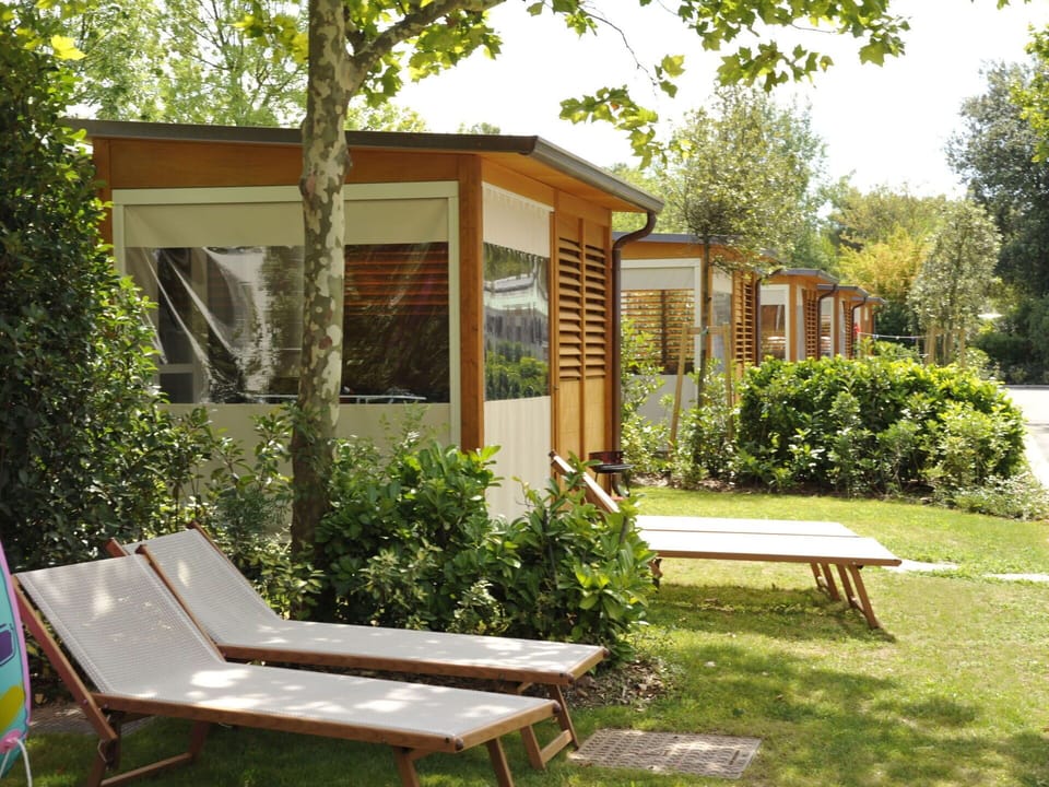 Shrub, Garden, Shade, Backyard, Outdoor Furniture, Yard, Outdoor Structure, Garden Buildings, Chair, Wood Stain