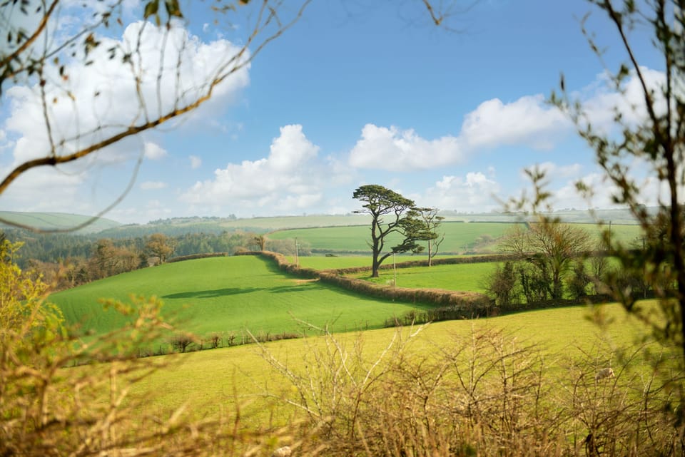 Farm view