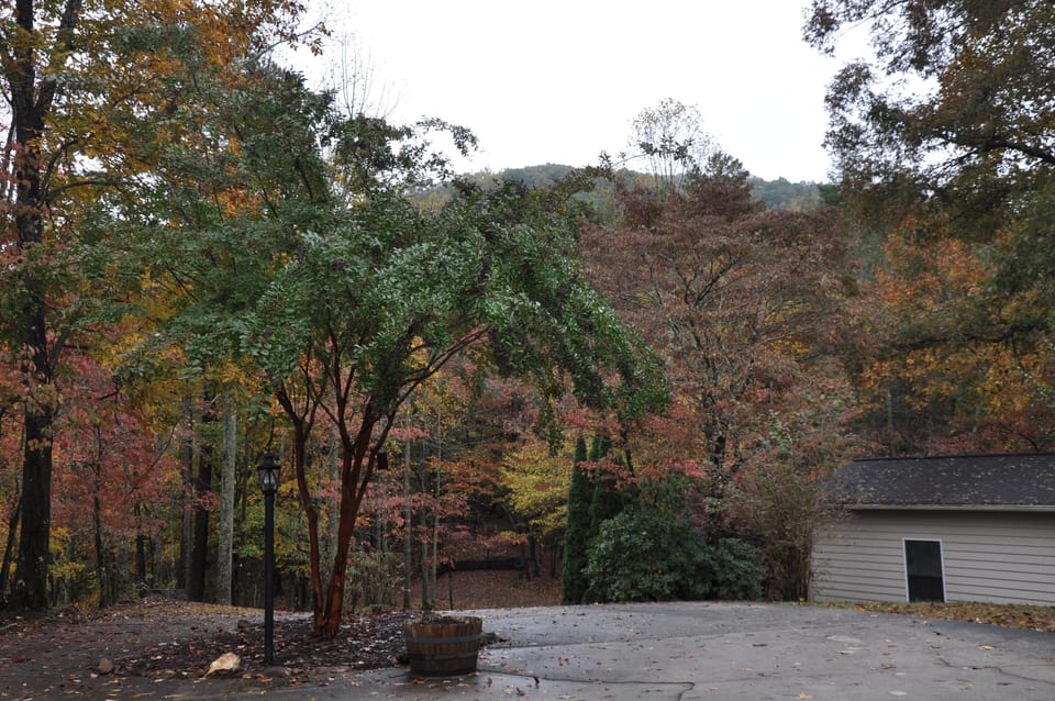 Parking area in fall