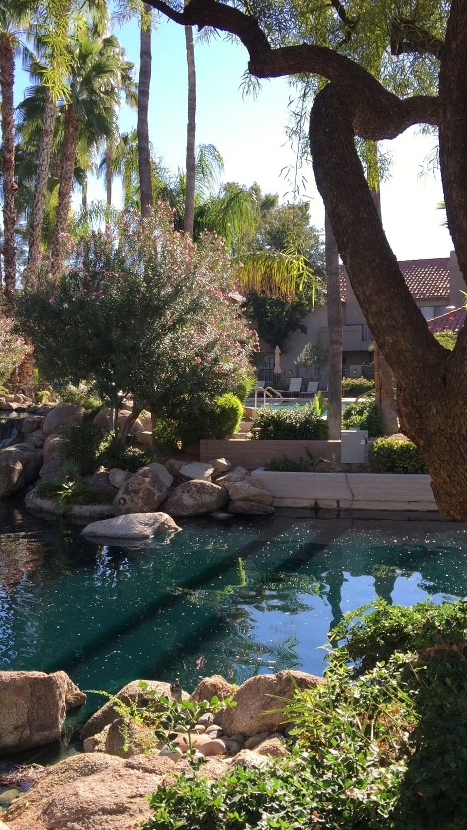 Picturesque Lagoon!