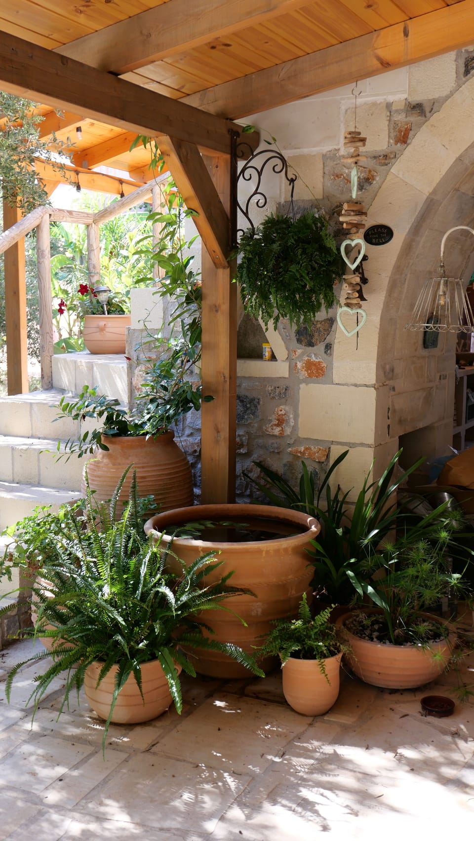 Plants on the terrace at the front of the house