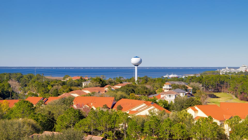 Community View