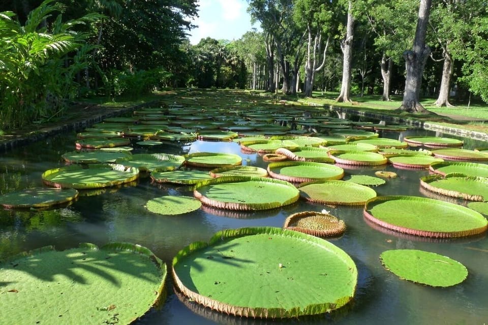 Botanical Garden 