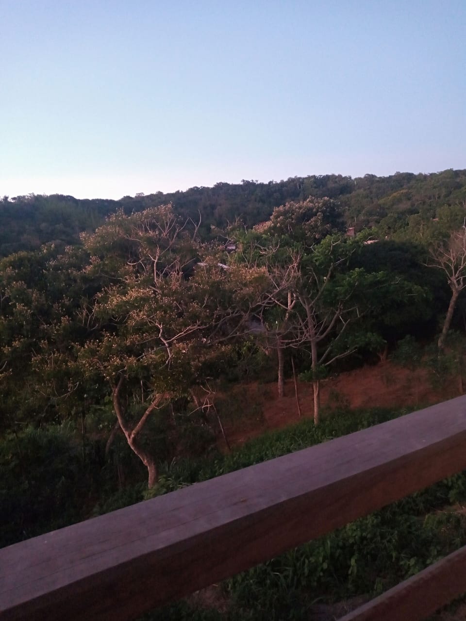 View from property