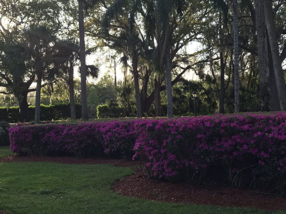 Entrance grounds 