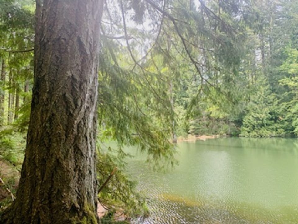 Colliery Dam Park