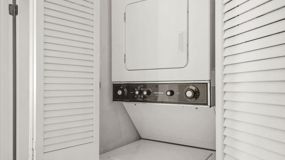 Palms C11