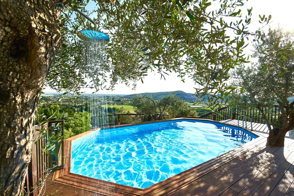 Fabulous salt water swimming pool with unique olive tree shower !