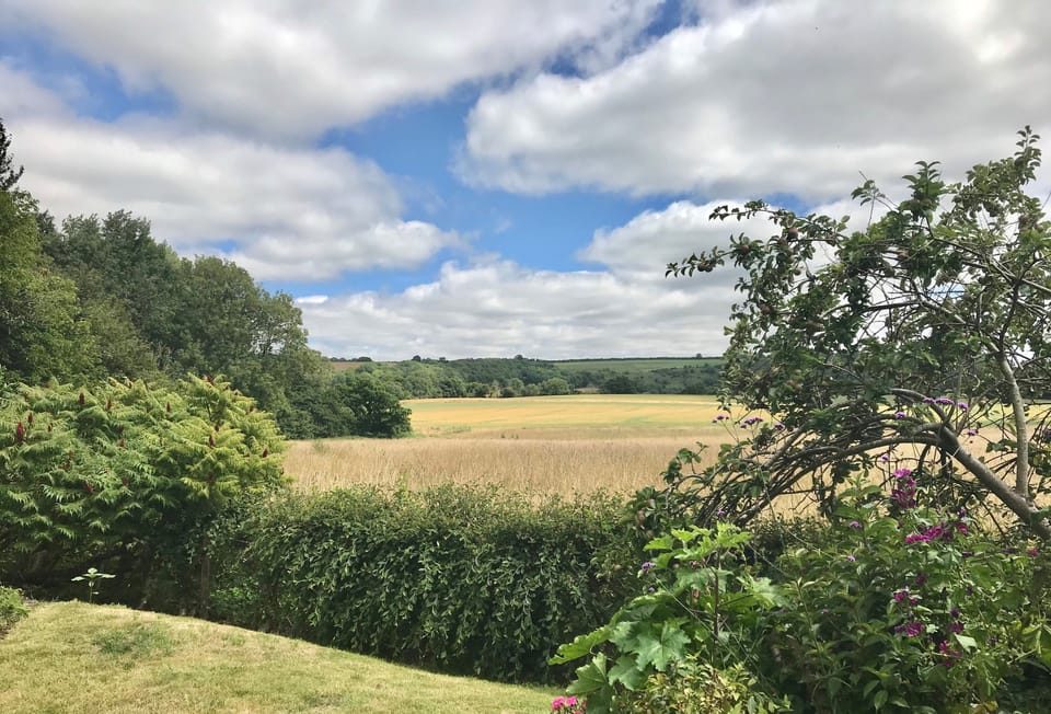 Greygles, Melcombe Bingham: The rural outlook from the garden