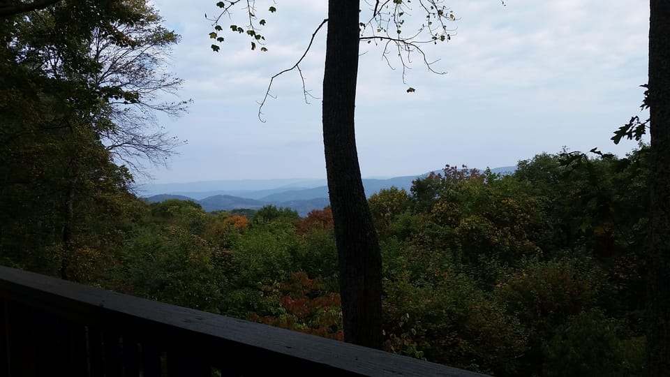 View sitting in the porch swing.