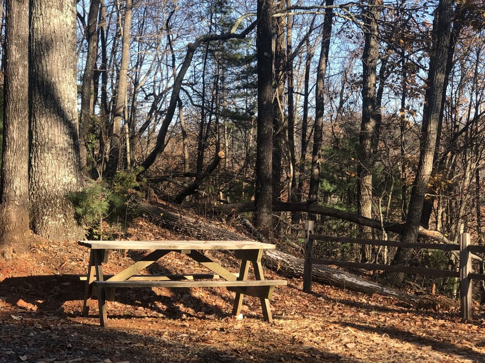 Picnic Table area