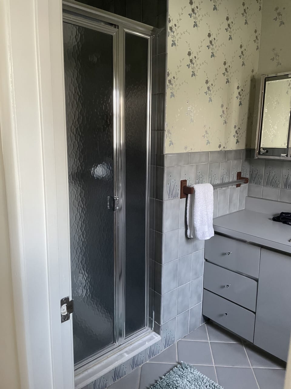Downstairs full shared bathroom with shower, off of media room.