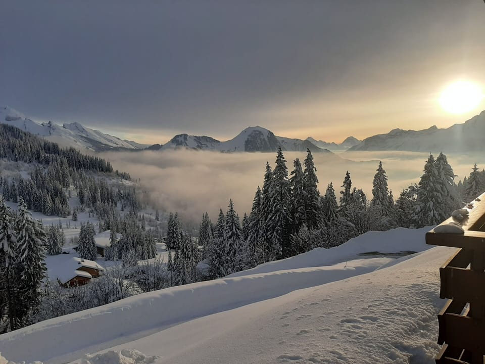 View from property